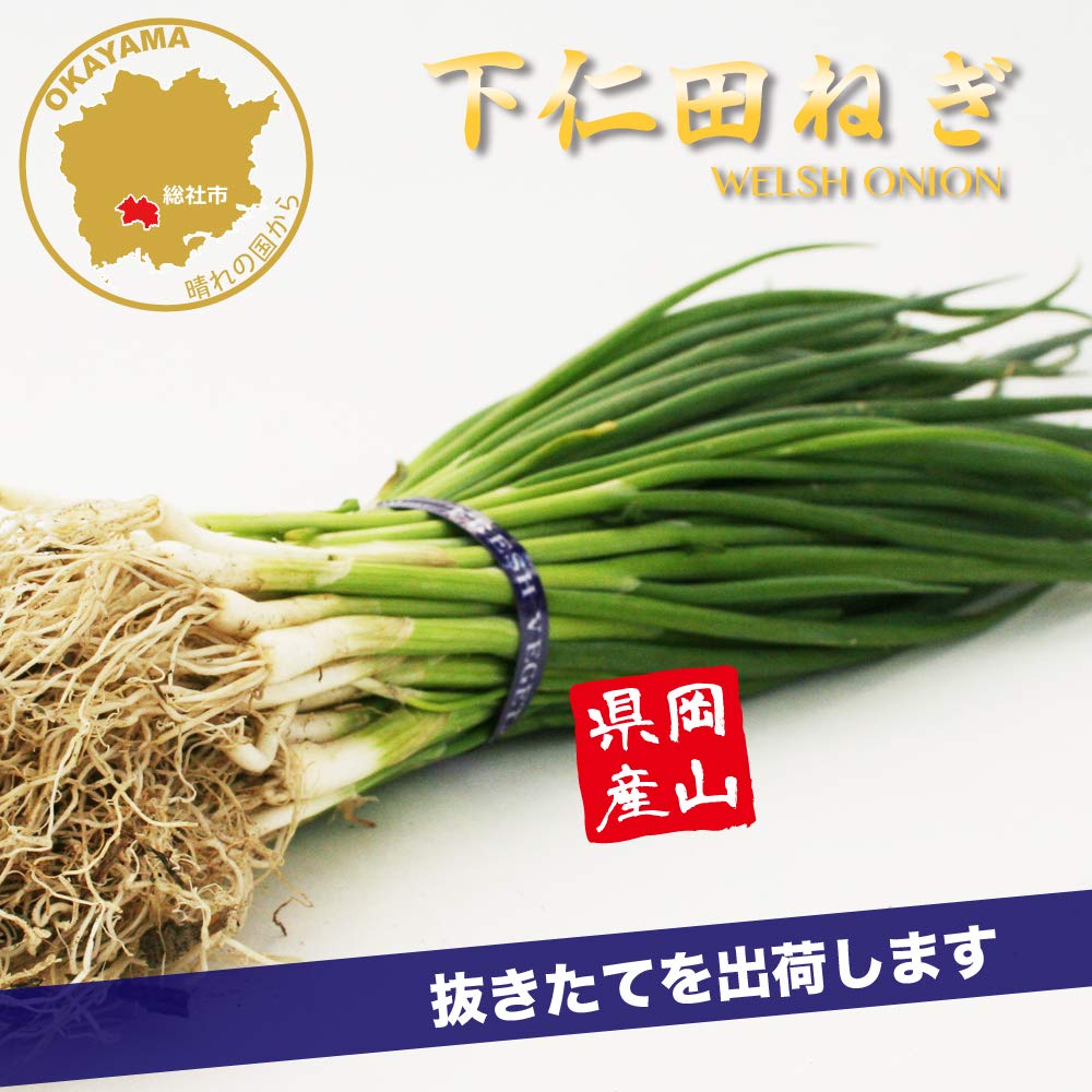 Amazon | ねぎ苗 下仁田ねぎ 短太一本ネギ 50本 抜き苗 岡山県産